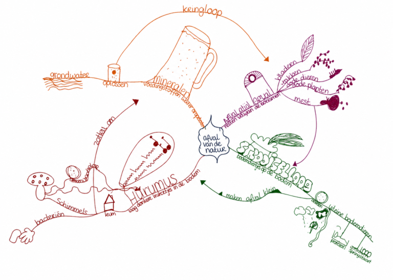 Voorbeeld van een mindmap om leerstof te ordenen en verbanden zichtbaar te maken